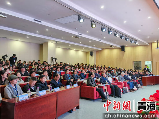 图为论坛现场。张海雯摄 图为论坛现场。张海雯摄