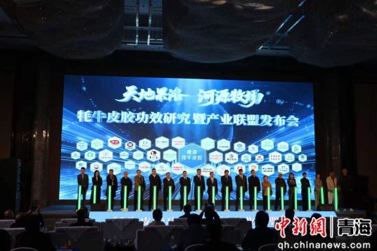 图为发布会现场。班玛县委宣传部 供图 图为发布会现场。班玛县委宣传部 供图