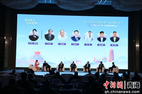 图为发布会现场。班玛县委宣传部 供图 图为发布会现场。班玛县委宣传部 供图