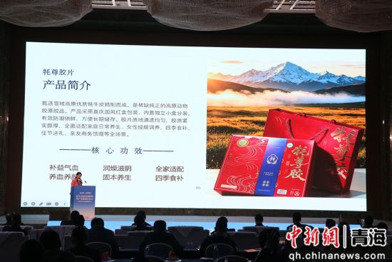 图为发布会现场。班玛县委宣传部 供图 图为发布会现场。班玛县委宣传部 供图