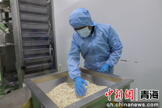 ͼΪ���ӵ�������������ҵ����Ƭ�����ߡ� ������ ��