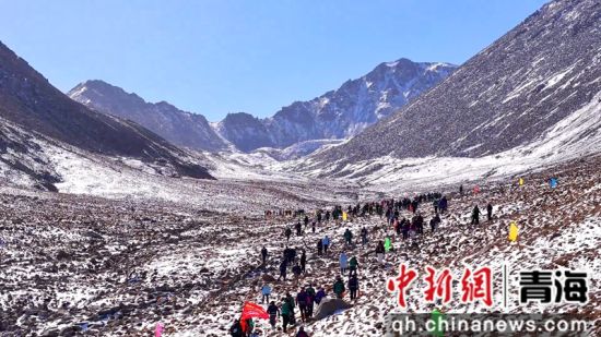 图为登山爱好者分组开启高海拔登峰之旅。同仁市委宣传部供图 图为登山爱好者分组开启高海拔登峰之旅。同仁市委宣传部供图