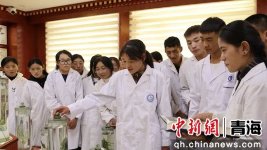 图为果洛州职业技术学校组织开展主题活动。李庆摄 图为果洛州职业技术学校组织开展主题活动。李庆摄