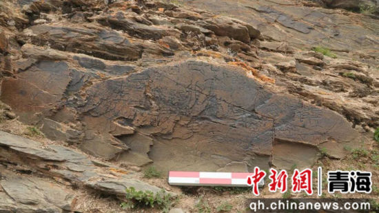 图为尕日塘秦刻石。李庆摄 图为尕日塘秦刻石。李庆摄