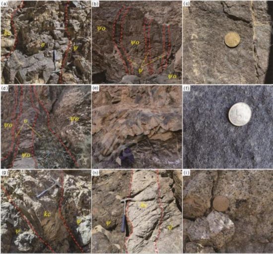青海东昆仑首次发现稀有和稀土矿化碱性杂岩体