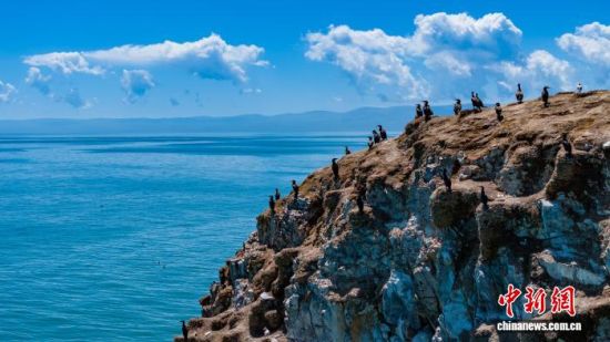 ͼΪຣϢˮຣùֹͼ