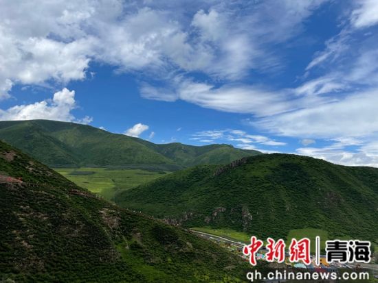 ����ͼΪ��ͨ�ؾ���38%��ɭ�ָ������̾���ɫ���ס� ��ͨ��ί��������ͼ