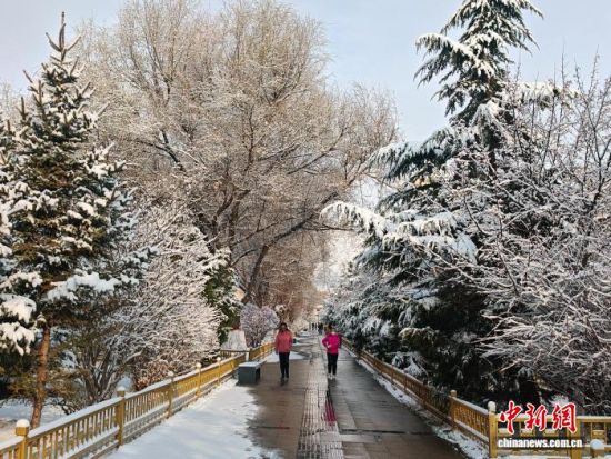 ͼΪ������ͬ����ѩ��ʵ�����ຣʡ����� ��ͼ