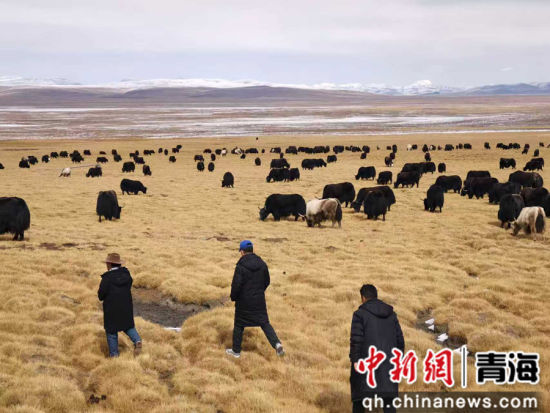 ũ��������������֧��ǰ��������չ��ǰ���顣���ΰ ��