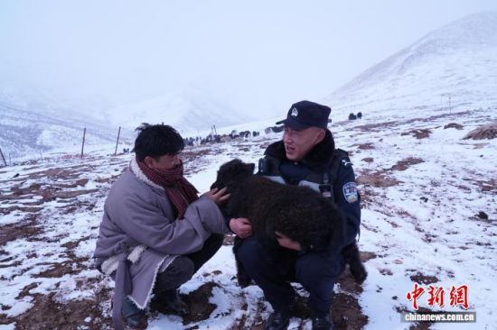 ͼΪ�񸨾��Ѷ�����Сţ�����ڻ���ȡů���Ի���