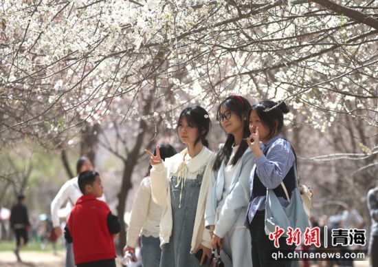 ����ͼΪ�������ں�����ѭ��������̤���ͻ�������ƻ��