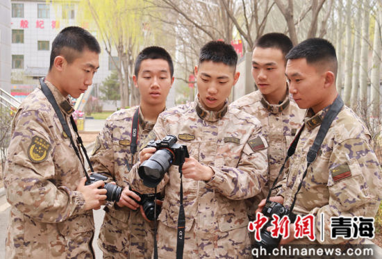 ͼΪ�ٱ������ֵ�ʵ���� ��������