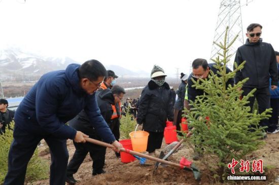 ͼΪ��ֳ��������ݸɲ�������һֲͬ��������� ��