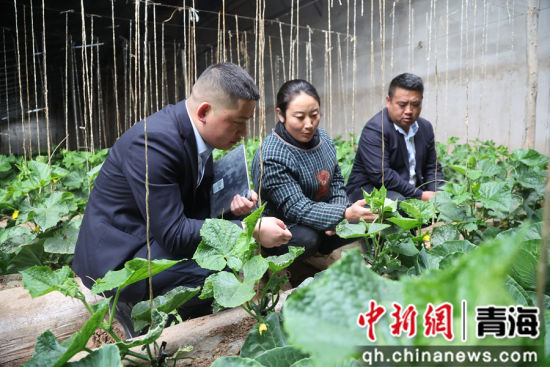 ͼΪũ���ֶ�֧�й�����Ա�߷���ɫ��ֲ��ҵ��������ƻ ��