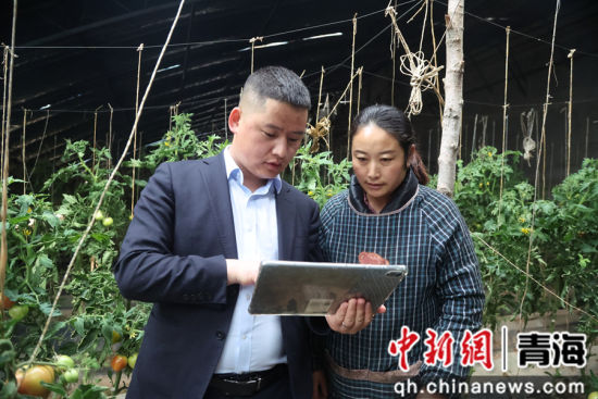 ͼΪũ���ֶ�֧�й�����Ա��ũ�������Ŵ����ߡ�����ƻ ��