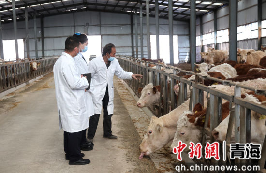 ͼΪũ���ֶ�֧�й�����Ա�˽���ֳ����ֳ��Ӫ���������ƻ ��