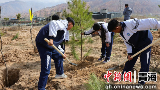 ͼΪֲ���ֳ���ͬ����ί��������ͼ