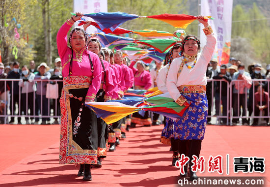 ͼΪ�����ֳ����������赸������ƻ��