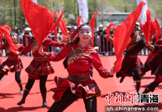 ͼΪ�ຣʦ����ѧ�����ӱ��ݡ�˿·���・�ҹ��� ���� ����ƻ ��