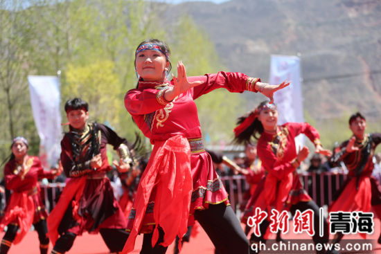 ͼΪ�ຣʦ����ѧ�����ӱ��ݡ�˿·���・�ҹ��� ���� ����ƻ ��