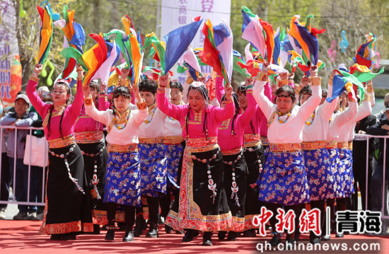 ͼΪ�����ֳ����������赸������ƻ��