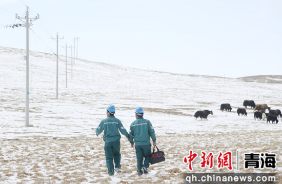 ͼΪ�����ŵ���ͬ�����ִ�̤ѩѲ�ߡ����� ��