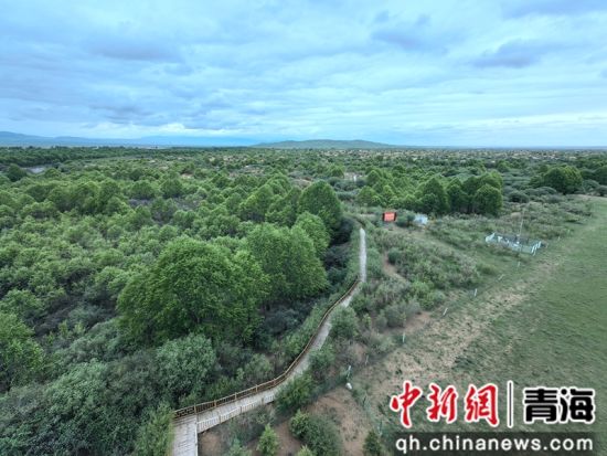 ͼΪ���ⰻȻ�Ĺ�����һ�ǡ����� ��